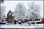 DigitalScape Photography